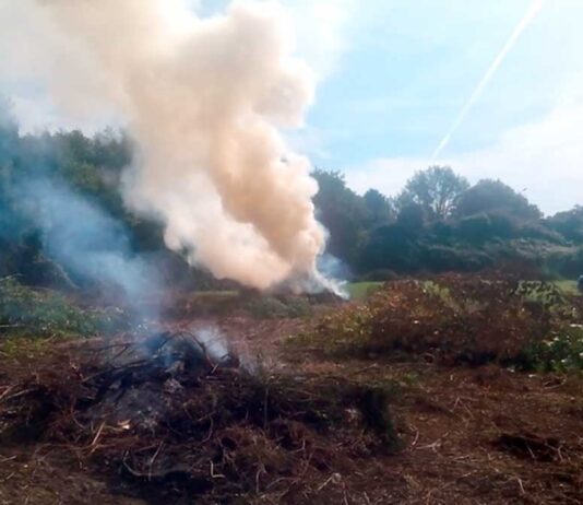 Incendi boschivi: la Regione Toscana proroga i termini: vietato accendere fuochi fino al 13 settembre