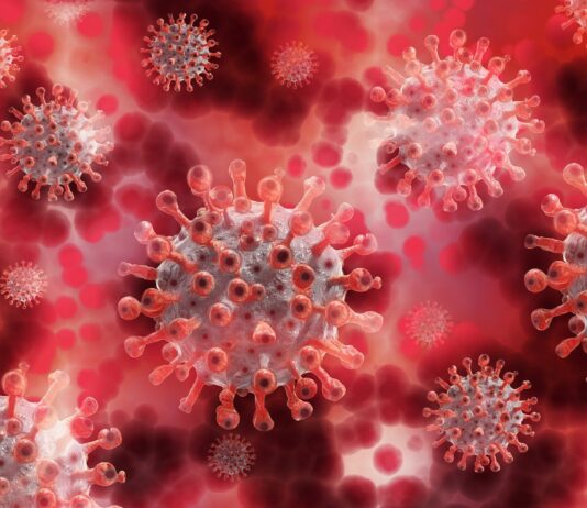 Coronavirus in Toscana: 1145 nuovi casi, 606 ricoverati, 82 in terapia intensiva, 8 decessi ( età media 86 anni)