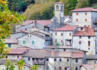 Storie e disegni: i bambini protagonisti della castagnatura on-line