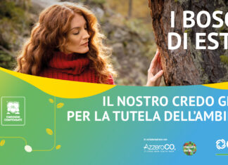 Estra Energie: siglato accordo triennale con AzzeroCO2 per la promozione degli obiettivi di sviluppo sostenibile
