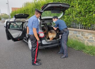Spaccio di stupefacenti: giro di vite dei carabinieri di Anghiari
