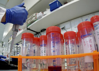 Coronavirus: in Toscana 379 nuovi casi, età media 43 anni. 29 decessi