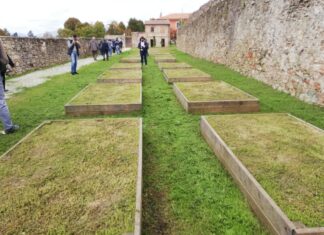 “Orti sociali”, c’è il bando per i cittadini interessati