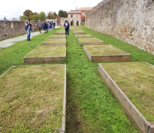 “Orti sociali”, c’è il bando per i cittadini interessati