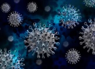 Coronavirus: in Toscana 367 nuovi casi, età media 39 anni. Ventuno i decessi