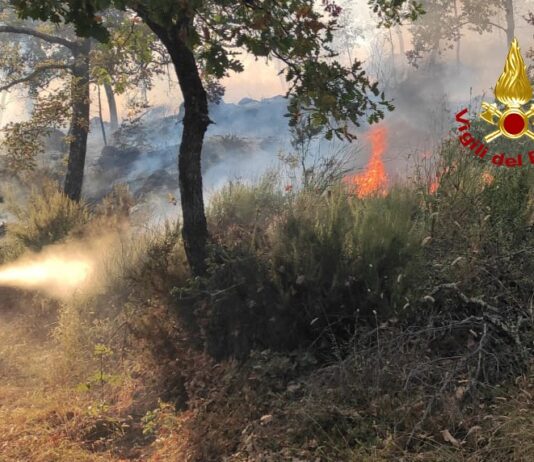 Incendi, prorogato al 19 settembre il divieto assoluto di abbruciamenti