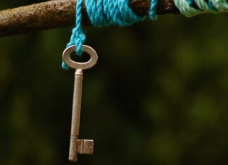 In questo Paese tutti continuano ad ignorare il Diritto