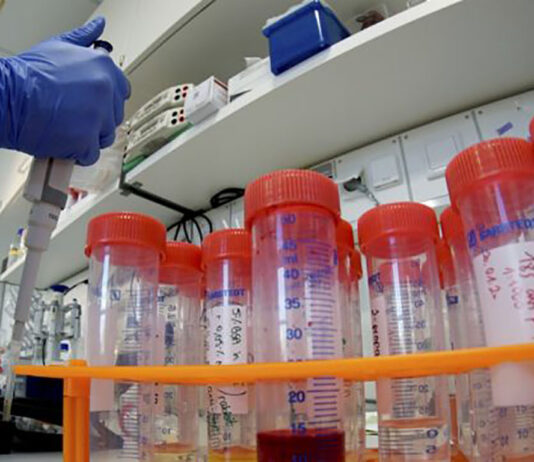 Coronavirus: 1203 nuovi casi nell’aretino, 42 persone in degenza covid, 8 in terapia intensiva