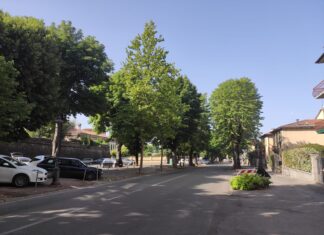 Sansepolcro: interventi sul verde pubblico e riqualificazione ambientale