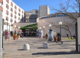 Altro caso di Dengue ad Arezzo, donna ricoverata al San Donato nel reparto di Malattie Infettive