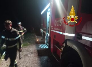Quattro persone si pendono nei boschi alla ricerca di funghi recuperati dai vigili del fuoco