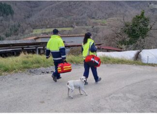 Infermiere di famiglia e di comunità nella Asl Toscana sud est