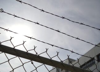 “Per il detenuto non sono solo un medico”: l’esperienza di Federico al carcere San Gimignano