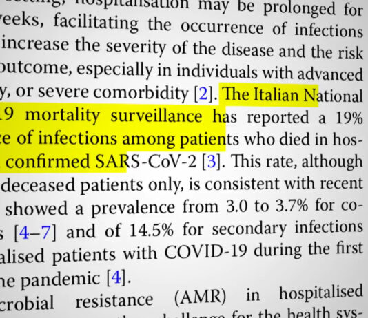 RAI3: Report inizia a riscrivere la storia della pandemia