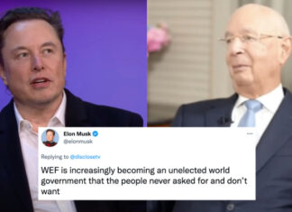 Elon Musk: “il WEF è un non eletto governo mondiale che il popolo non vuole e non ha mai chiesto”