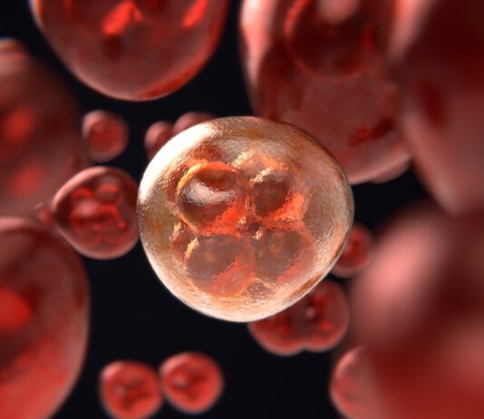 Istituto Superiore di Sanità: “oggi si assiste a una vera e propria epidemia di casi di cancro”