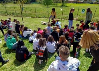 Le farfalle delle diversità: continua il progetto “dialoghi sulla disabilità” nelle scuole di Bibbiena