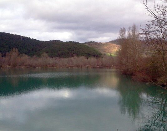 Disperso dopo immersione nell’area di Golena del Tevere
