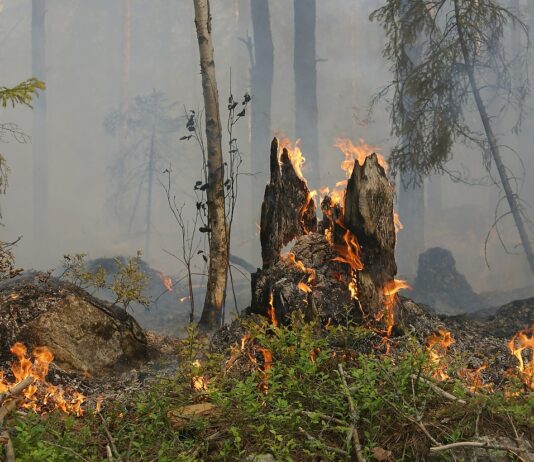 Rischio incendi, da oggi di nuovo possibili gli abbruciamenti: restano le prescrizioni