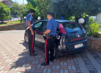 Carabinieri di Cortona: weekend di denunce ed arresti
