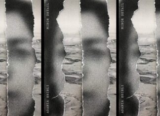 Un dettaglio minore di Adania Shibli