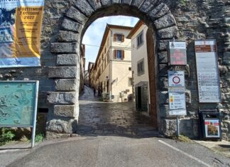 Cortona, parte l’indagine sui bisogni formativi