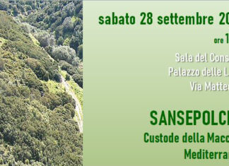 Carta di Caltagirone, sabato la cerimonia di consegna della Menzione di Custode della Macchia Mediterranea in Sala del Consiglio