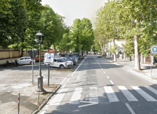 Sansepolcro: abbattuto un altro albero in via Vittorio Veneto