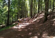 Aree interne: 12 milioni di euro al “Casentino – Valtiberina”