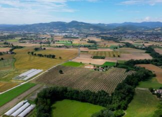 E78: un’opera pubblica è davvero tale solo se parla a tutti