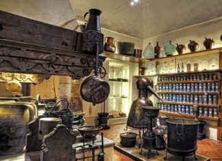 Aboca Museum partecipa al progetto “A scuola d’impresa”