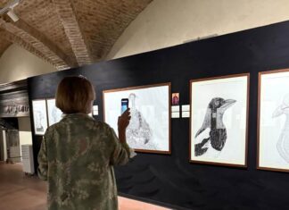 La mostra Zoomorphica al Museo Civico di Sansepolcro