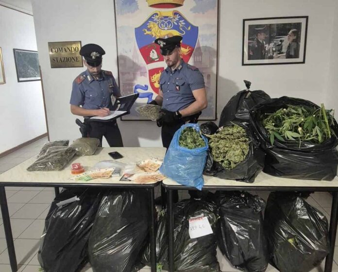 Sansepolcro-coltivavano-marijuana-nel-giardino-condominiale.jpg